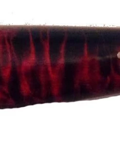 Premium Knife Supply Knife Scales - Wood - Curly Maple - Pair - Great For Double Dyeing 9 Premium Knife Supply Knife Scales - Wood - Curly Maple - Pair - Great For Double Dyeing