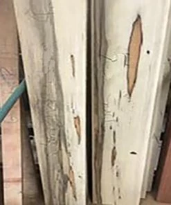 WoodWorld Of Texas Black Limba 8/4