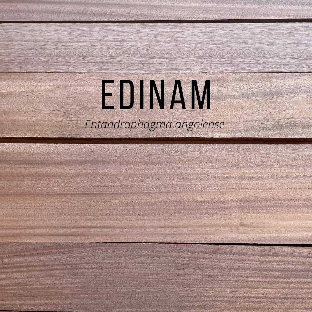 WoodWorld Of Texas Edinam - 4/4, 6/4 & 8/4 1 WoodWorld Of Texas Edinam - 4/4, 6/4 & 8/4