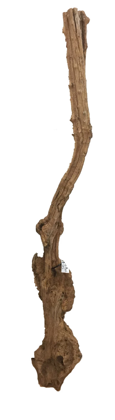 WoodWorld Of Texas Burls & Art Peices Burl #1 1 WoodWorld Of Texas Burls & Art Peices Burl #1