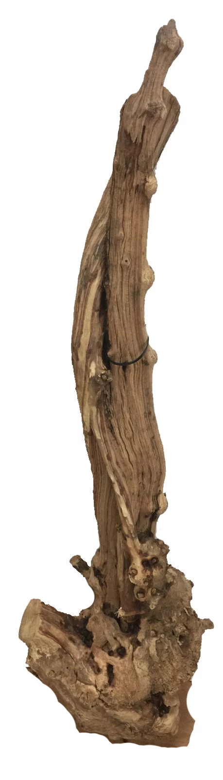 WoodWorld Of Texas Burl #3 1 WoodWorld Of Texas Burl #3