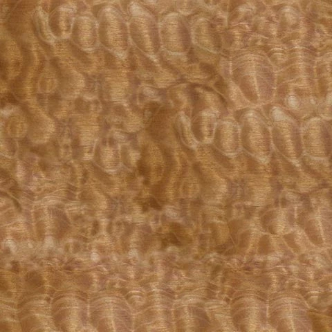 WoodWorld Of Texas Lumber Maple, Quilted - 4/4,& 8/4 (when Available) 2 WoodWorld Of Texas Lumber Maple, Quilted - 4/4,& 8/4 (when Available)