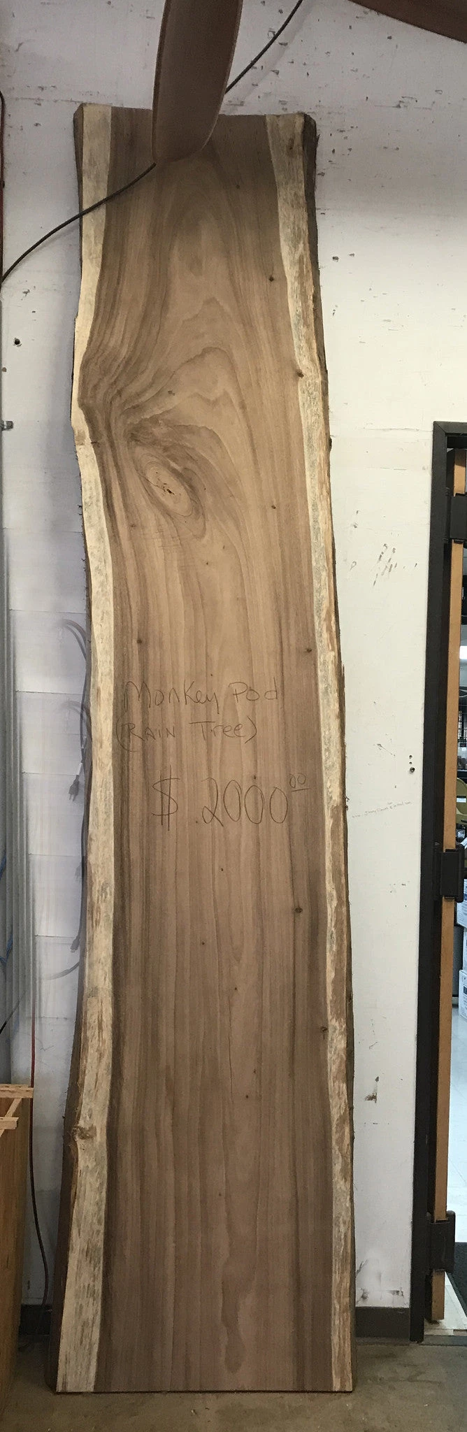 World Timber Monkey Pod Natural Edge Slab 144" Long 3" Max Thickness 29.25 - 33.5" Wide 1 World Timber Monkey Pod Natural Edge Slab 144" Long 3" Max Thickness 29.25 - 33.5" Wide