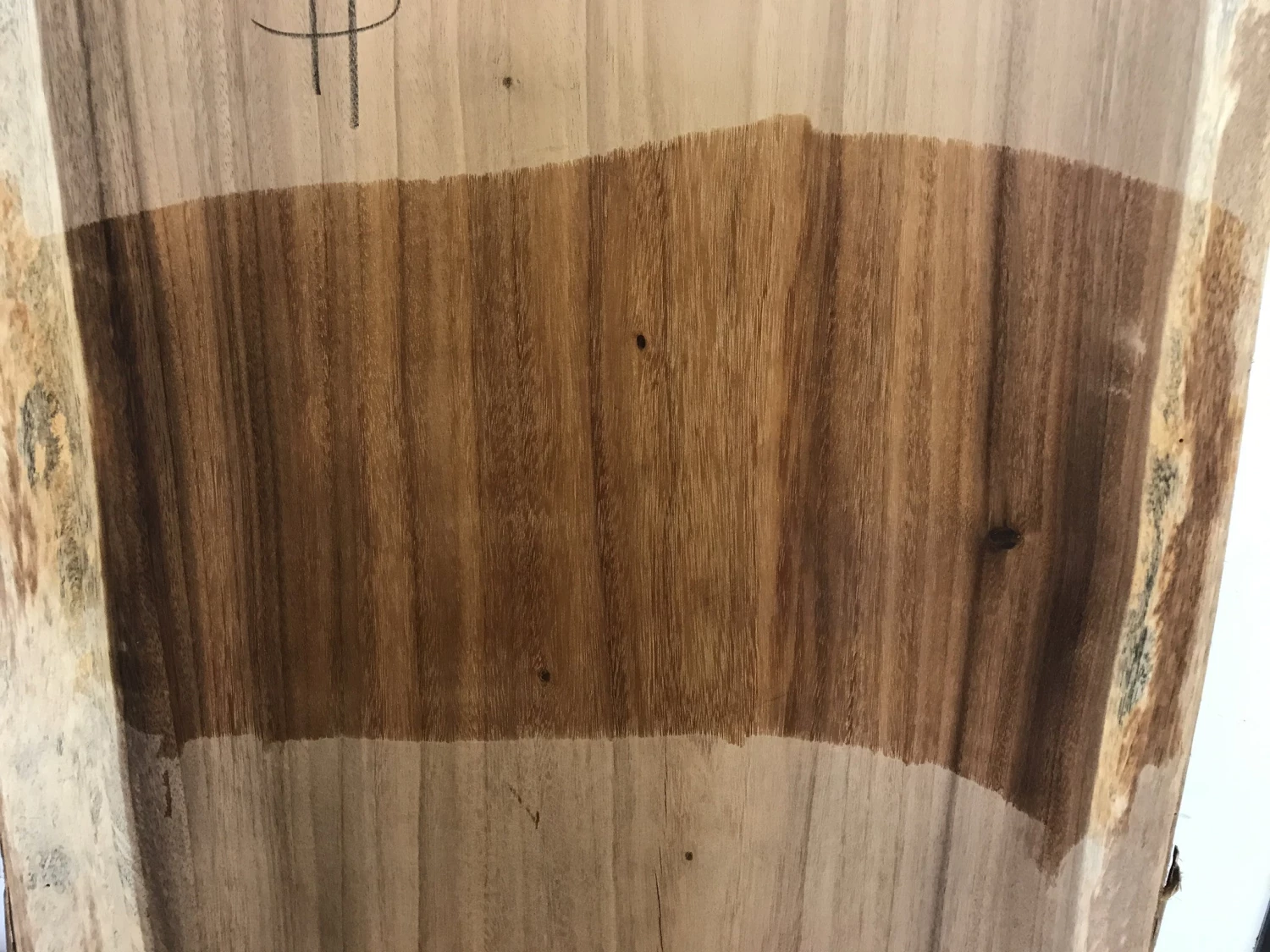 World Timber Monkey Pod Natural Edge Slab 144" Long 3" Max Thickness 29.25 - 33.5" Wide 4 World Timber Monkey Pod Natural Edge Slab 144" Long 3" Max Thickness 29.25 - 33.5" Wide