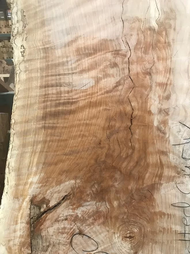 World Timber Spalted Curly Beech Natural Edge Slab 79" Long 2.25" Max Thickness 28 - 36" Wide Slabs 2 World Timber Spalted Curly Beech Natural Edge Slab 79" Long 2.25" Max Thickness 28 - 36" Wide Slabs