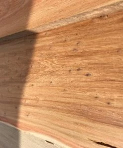 WoodWorld Of Texas Cypress, Tide Water - 4/4