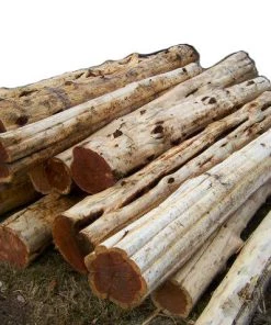 Cedar Creek Cedar Log Posts Special Order