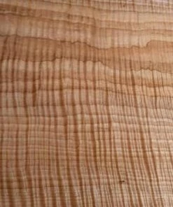 WoodWorld Of Texas Maple, Curly - 4/4,& 8/4 (when Available) Lumber