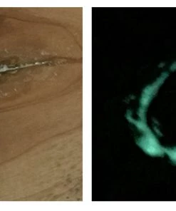 WoodWorld Of Texas Jimmy Clewes Glow Powders (Glow In The Dark Fill Material.) 6 WoodWorld Of Texas Jimmy Clewes Glow Powders (Glow In The Dark Fill Material.)