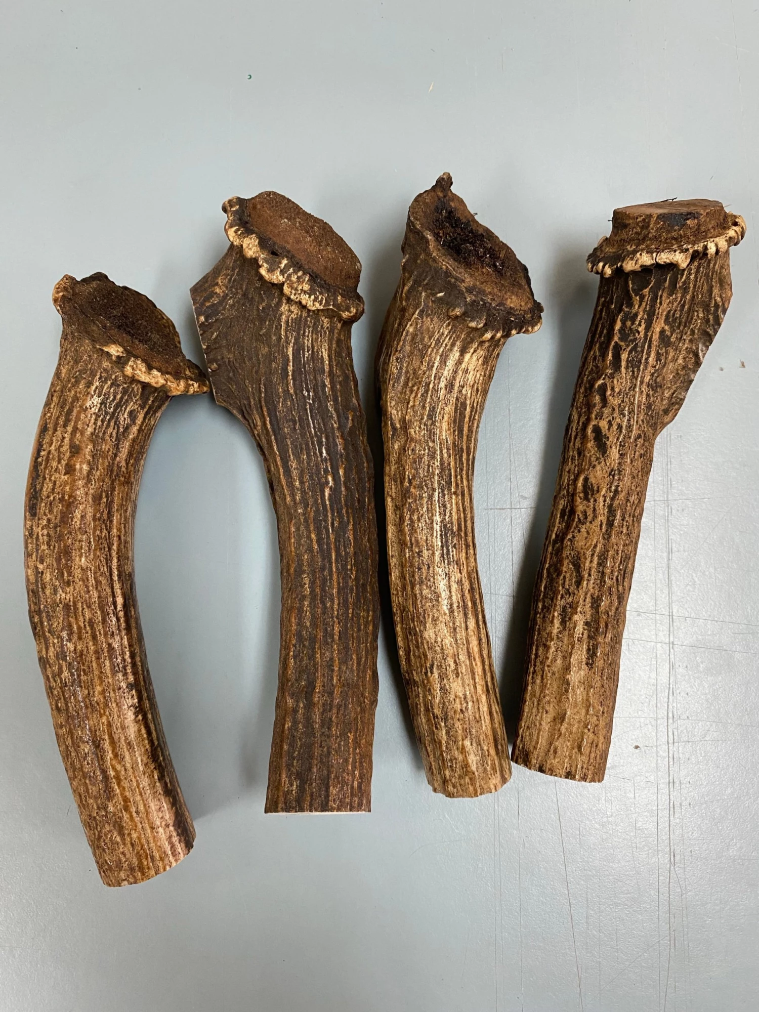 WoodWorld Of Texas Knife Kits Sambar Stag Rounds 1 WoodWorld Of Texas Knife Kits Sambar Stag Rounds