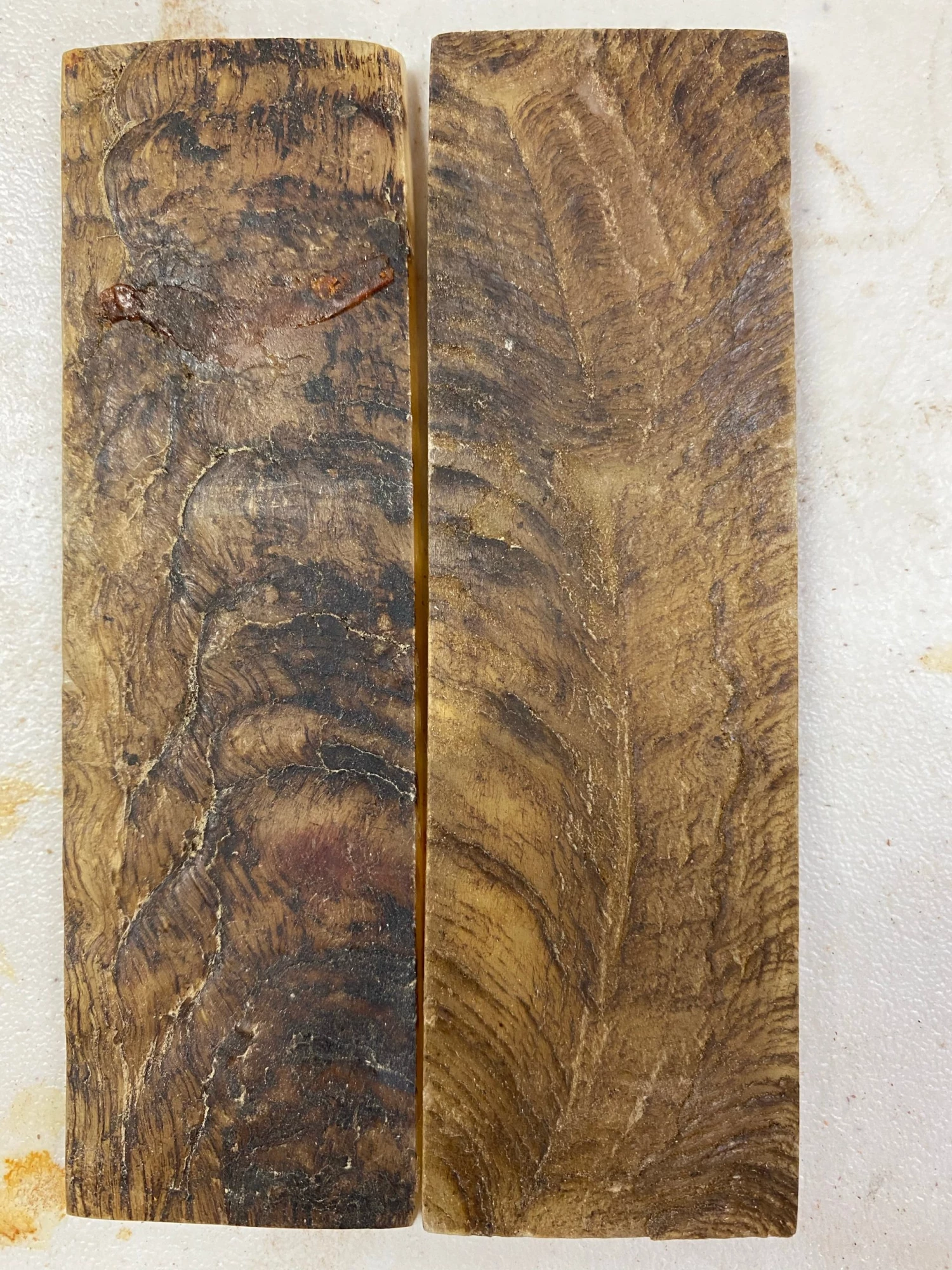 WoodWorld Of Texas Himalayan Ram Horn Knife Scales Kitchen Knives And Other Specialty Knives 3 WoodWorld Of Texas Himalayan Ram Horn Knife Scales Kitchen Knives And Other Specialty Knives