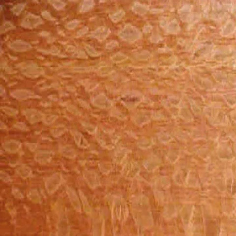 WoodWorld Of Texas Lumber Lacewood 4/4 1 WoodWorld Of Texas Lumber Lacewood 4/4