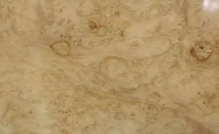 Sauers & Company Veneer - Maple Burl Veneer Pack 2 Sauers & Company Veneer - Maple Burl Veneer Pack