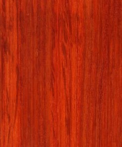 WoodWorld Of Texas Lumber Padauk 4/4 & 8/4
