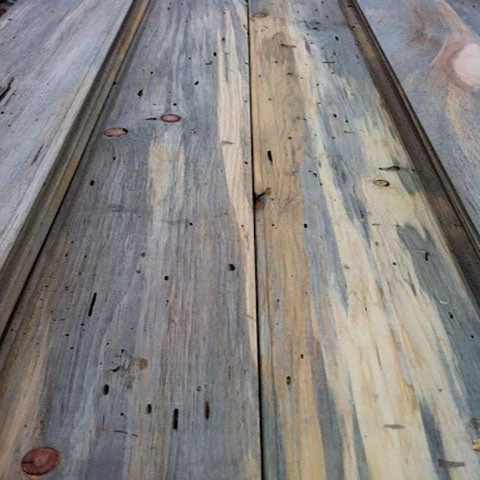 WoodWorld Of Texas Lumber Pine, Ponderosa - Blue Buggy - 1x12 1 WoodWorld Of Texas Lumber Pine, Ponderosa - Blue Buggy - 1x12