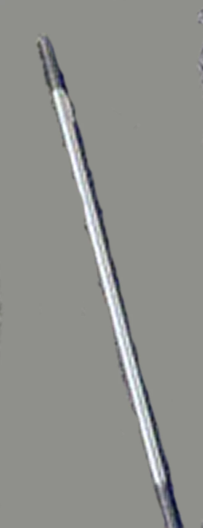 Barracuda Pen Tools B Rod For Precision Mandrel 1 Barracuda Pen Tools B Rod For Precision Mandrel