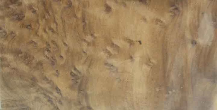 Sauers & Company Veneer - Redwood Burl Veneer Pack 2 Sauers & Company Veneer - Redwood Burl Veneer Pack