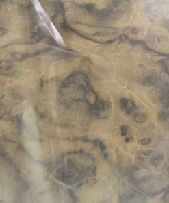 Sauers & Company Veneer - Walnut Burl Veneer Pack