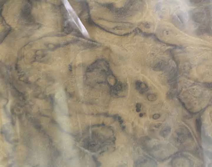 Sauers & Company Veneer - Walnut Burl Veneer Pack 2 Sauers & Company Veneer - Walnut Burl Veneer Pack